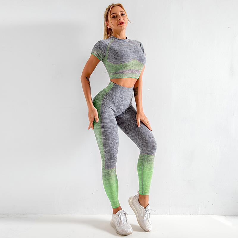 Seamless Short Sleeves Yoga Clothing Set